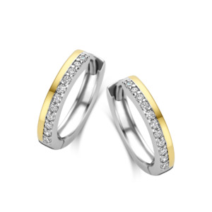 Rosa Di Luca zilv/verguld creolen met zirkonia