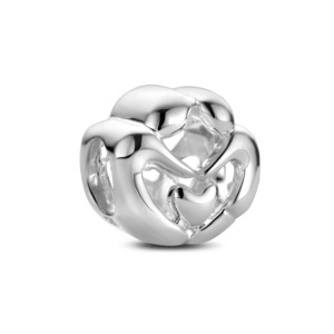 Rosa Di Luca zilver bedel