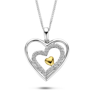 Rosa Di Luca zilv/verguld hanger met zirkonia met collier